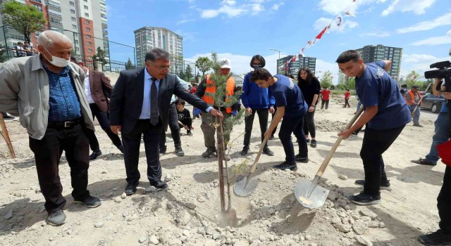 Yenimahallede 200 çam ve sedir dikildi