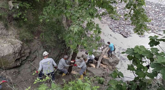 Yerköprü Piknik Alanı ve Çakıt Çayında temizlik