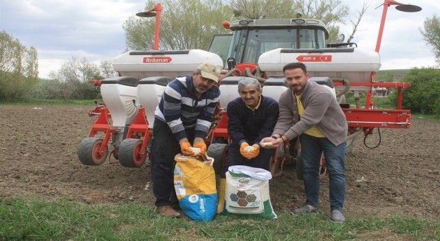 Yozgatta 5 çeşit kuru ve yeşil fasulye deneme ekimi yapıldı