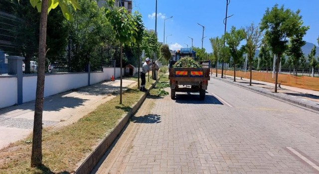 Yunusemrede ot biçme çalışmaları devam ediyor