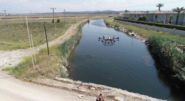 ZİHAların hedefinde sivrisinekler var