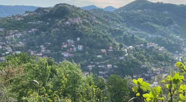 Zonguldakta tedirgin eden gelenek, bayram sabahı silahlar konuştu