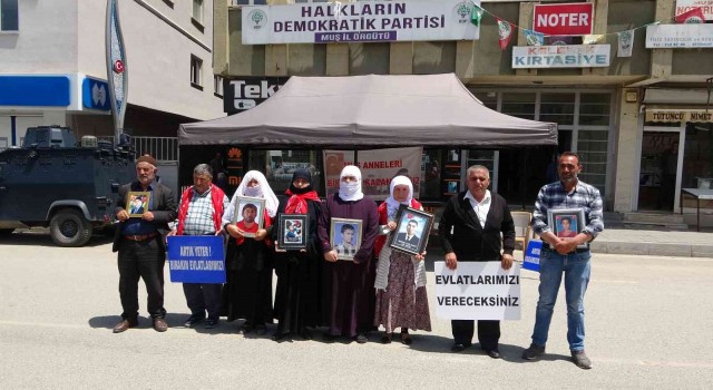 9 yıldır oğlundan haber alamayan anne, HDP ve PKKya tepki göstererek kaldırıma yattı