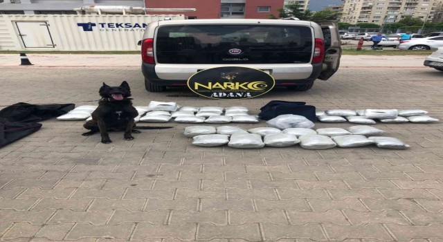 Adanada 37 kilo esrar ele geçirildi