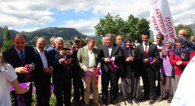 Adanada Tapan 1. Turizm ve Lavanta Festivali kadınların başarısı damga vurdu