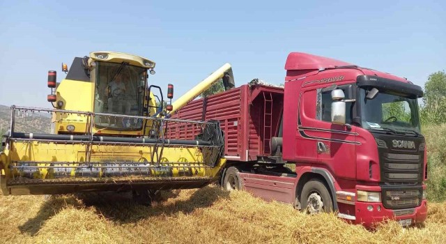 ADÜ Ziraat Fakültesi buğday hasadına başladı