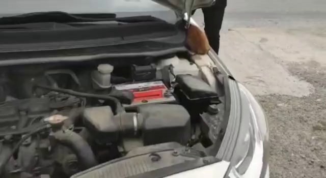 Afacan kediler aracın motor kısmına girdi, genci sınava polis yetiştirdi