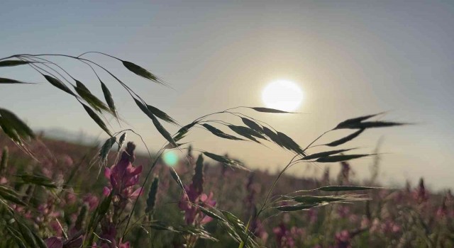 Ağrıda göz kamaştıran gün batımı