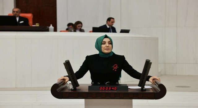 AK Parti Milletvekili Ayvazoğlu: Enflasyonu kontrol altına alacağız