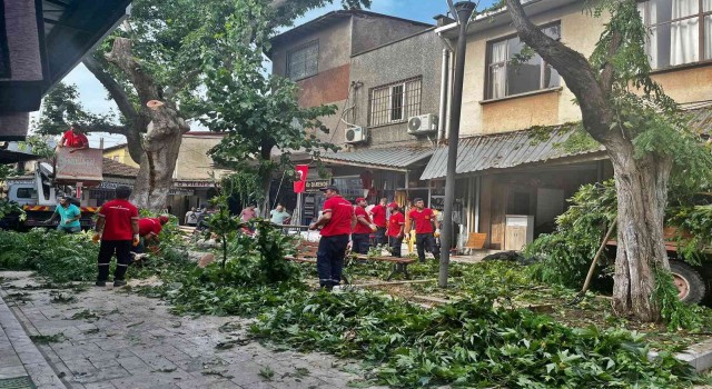 Akhisarda fırtına etkili oldu, ağaç devrildi, çatılar uçtu