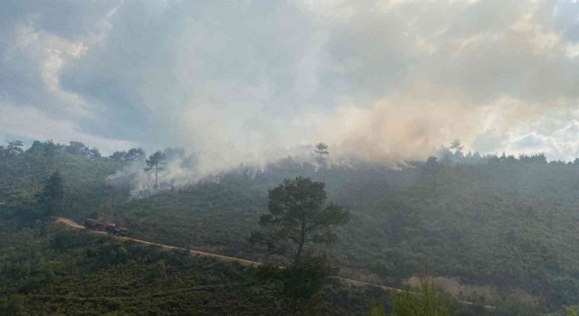Akhisarda orman yangını, uçak ve helikopterler müdahale ediyor