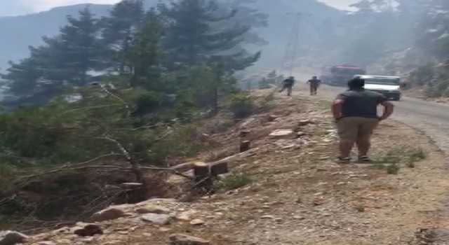 Akıl sağlığı yerinde olmayan kişinin çıkardığı yangında 1 hektar alan yandı