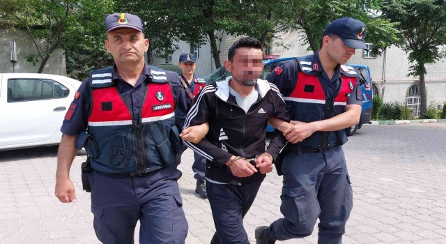 Amcasını tüfekle yaraladı