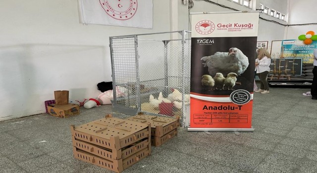 ‘Anadolu-T, Tarla Gününde görücüye çıktı
