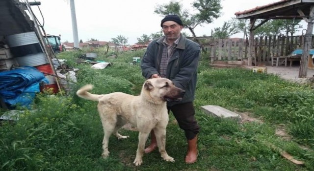 Arazi kavgasında baba yaralandı, oğlu hayatını kaybetti
