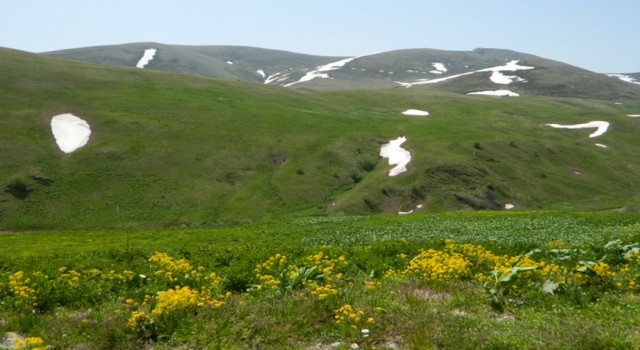 Ardahanda yayla yolculuğu başladı