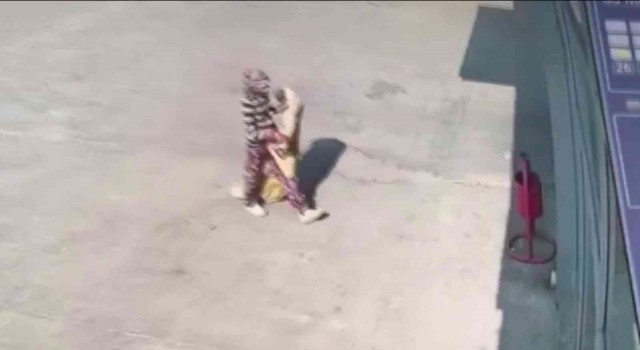 At arabalı hırsızların rahatlığı kameralara yansıdı