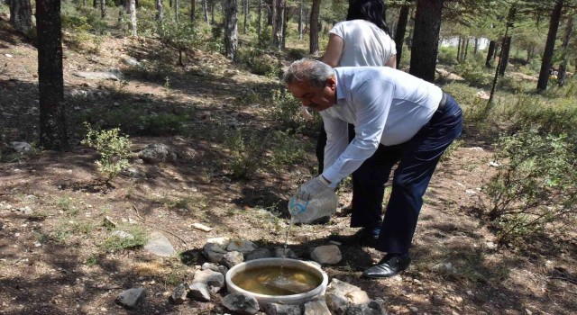 Atatürk Ormanına hayvanlar için yem bırakıldı