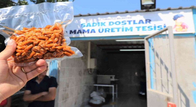 Atık gıdalar sokak hayvanları için mamaya dönüşecek