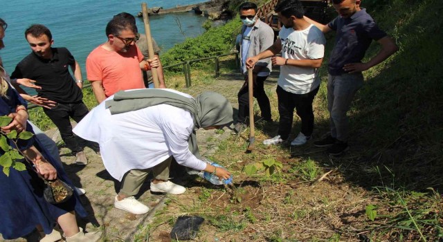 Avrasya Üniversitesinde yerleşkesinde fidan dikimi