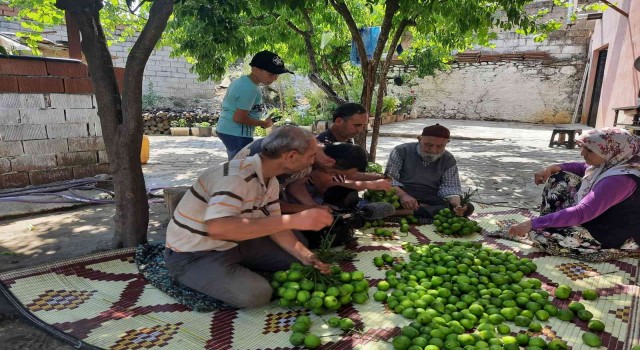 Aydında ilek mesaisi başladı