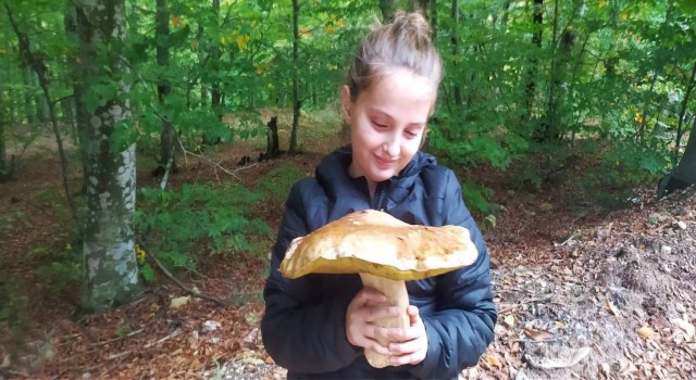 Ayı ve sarıkız mantarı İtalyan pizzası, Fransız çorbalarına lezzet katıyor