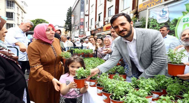 Bağcıları fesleğen kokusu sardı