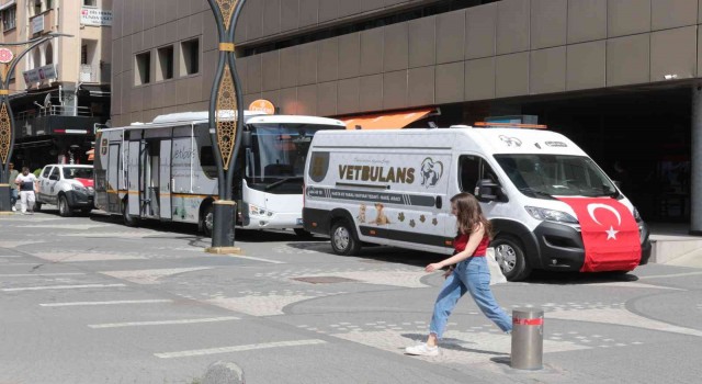 Balıkesir Büyükşehir Belediyesi, Marmaristeki yangında zarar gören hayvanları tedavi edecek