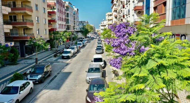 Başkan Atabay; Didim her geçen gün güzelleşiyor