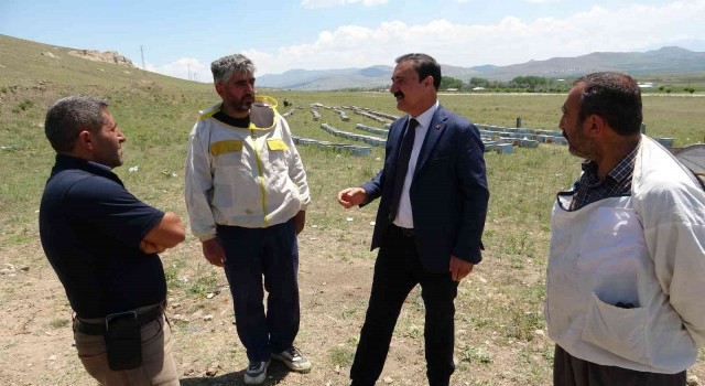 Başkan Süer: “Vanın gerçek balı ilaçtır”