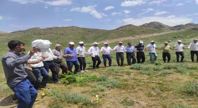 Batmanda 20 yıl sonra yaylalarına kavuşan köylüler sevinçlerini halay çekerek kutladı