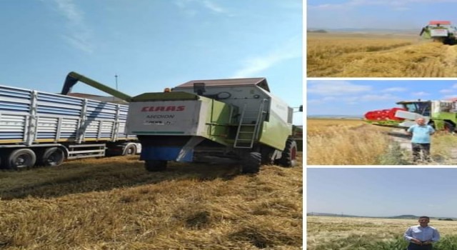 BAÜNde 203 ton arpa hasadı yapıldı