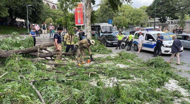 Beyoğlunda gövdesinden kırılan ağaç yola devrildi: 2si turist 3 kişi yaralandı