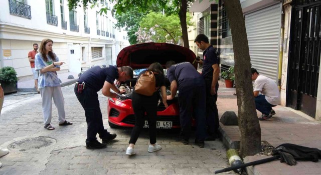 Beyoğlunda otomobilin motoruna yavru kedi sıkıştı