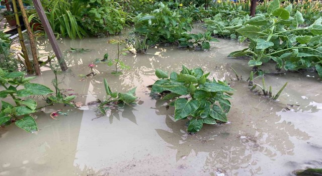 Beypazarında evleri ve ekili araziyi sel vurdu