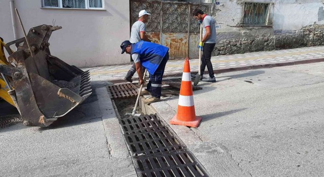 Bilecikte mazgallarda temizlik