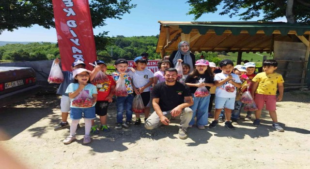 Bilecikte minik öğrenciler tarladan çilek topladı