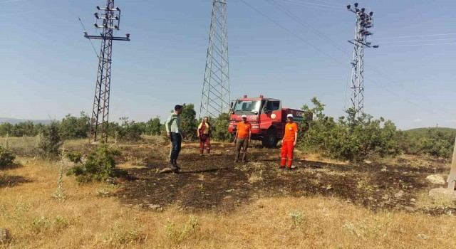 Bingölde çıkan orman yangını söndürüldü