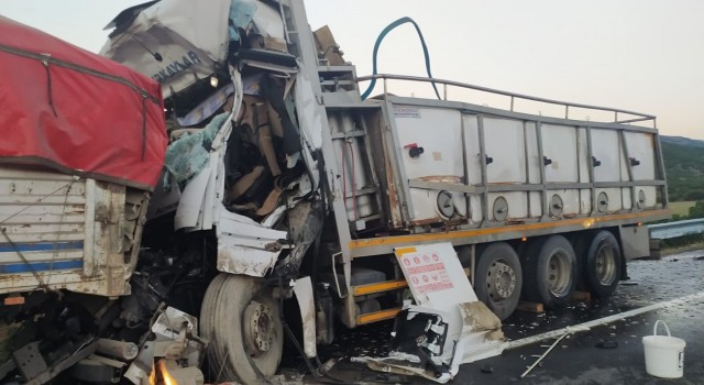 Bingölde trafik kazası: 1 ölü