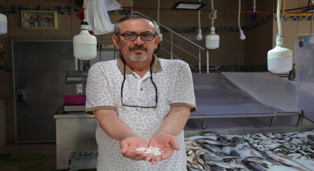 Böbrek taşı düşürdüğüne inanılan eşkina balığındaki taşlar 5 TLden alıcı buluyor