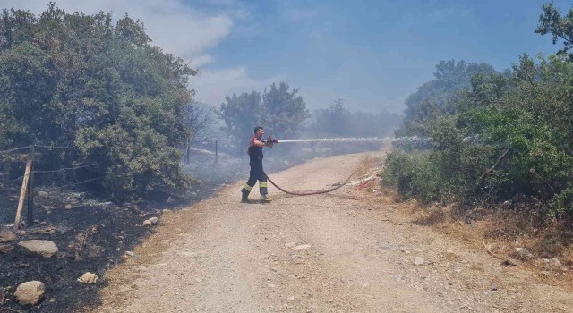 Bodrumdaki yangın 3 saatlik çalışmayla söndürüldü