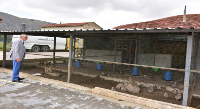 Bölgenin tek keklik üretim çiftliği büyümeye devam ediyor
