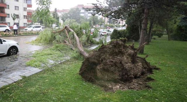 Boluda sağanak yağış hayatı felç etti