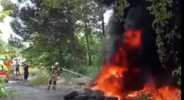 Bursada hurda demir için ormanı yakıyorlardı