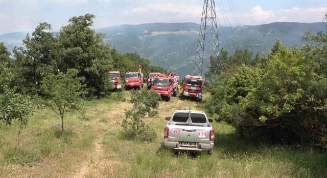 Bursada orman yangını