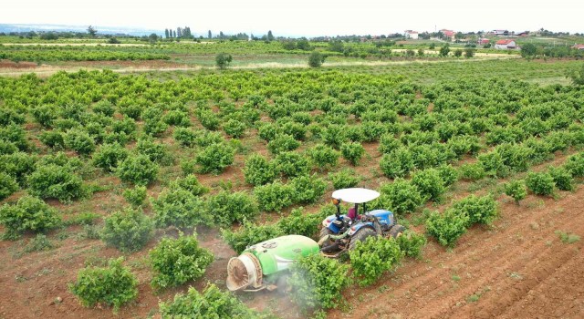 Büyükşehirden üreticiye zirai ilaç desteği