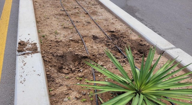 Cadde üzerindeki çiçeklere zarar veren şahıs gözaltına alındı