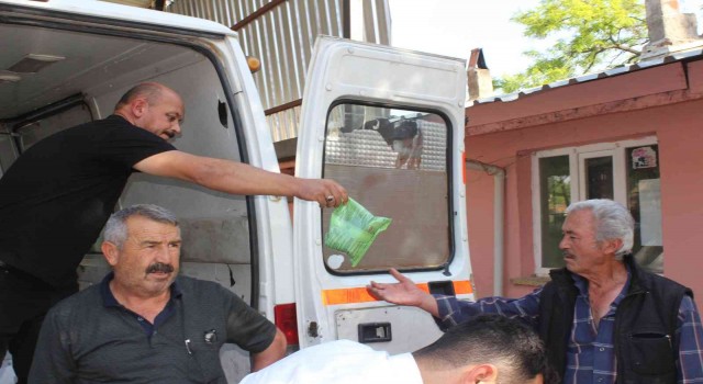 Çalda dolu yağışının neden olduğu zararın izleri siliniyor