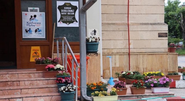 Cami bahçesi, çiçek bahçesine döndü