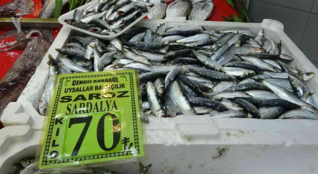 Çanakkalede balık tezgahlarında fiyatlar arttı